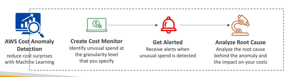 Cost Anomaly Detection